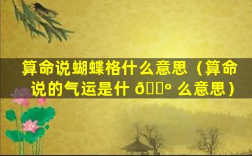 算命说蝴蝶格什么意思（算命说的气运是什 🌺 么意思）